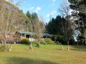 Cedar Lodge Cabins - Darwin Tourism